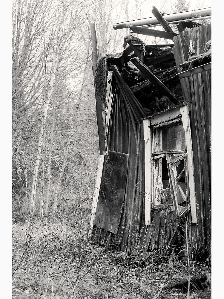 30.10.2021: Old Abandoned Farmhouse by Petri Volanen