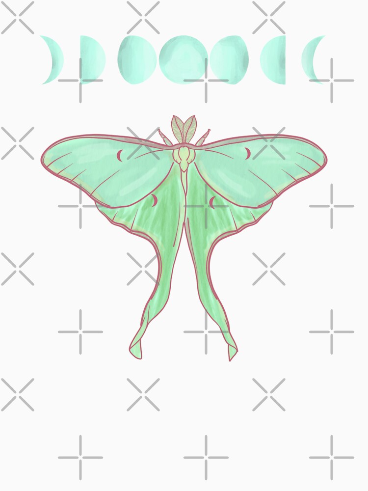 Luna Moth by Comets Canvas