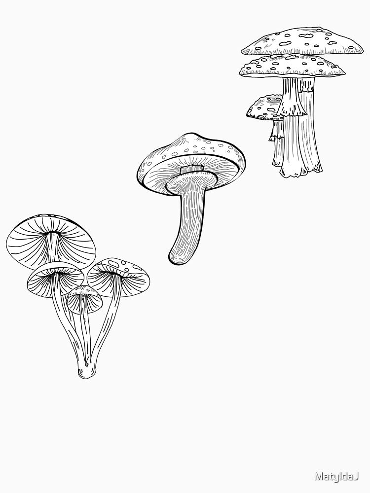 Autumn forest mushroom design by MatyldaJ