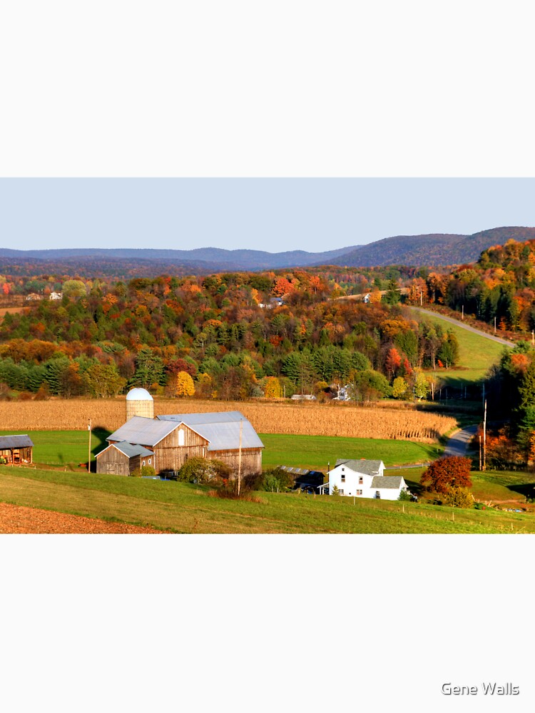 Rose Valley Farm & Long October Shadows by Gene Walls