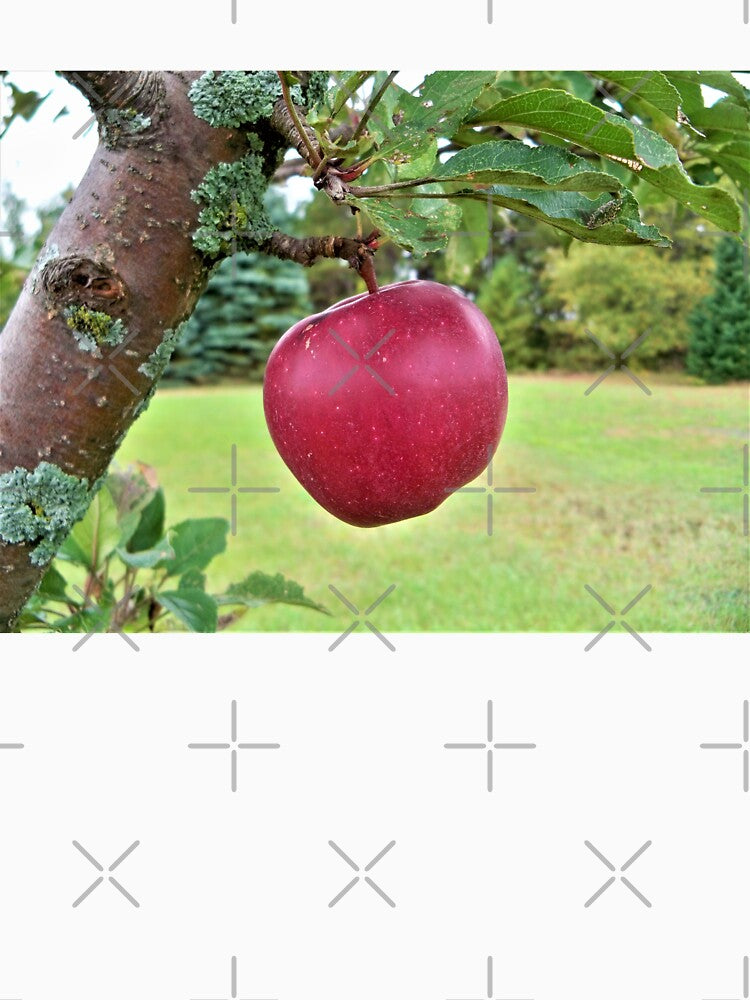 Ripe for the Picking by CJGrimes