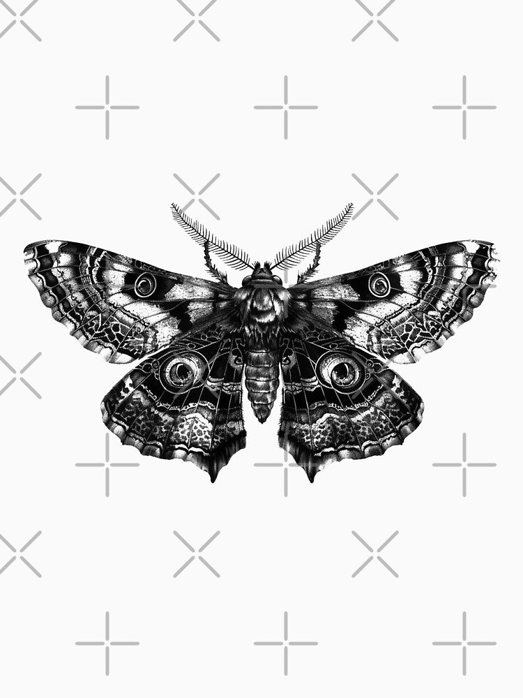 Gothic Moth Illustration | Black and White Insect Art with Occult Aesthetic by inkoutninja