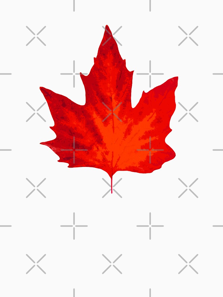 Autumn Red Maple Leaf by ind3finite