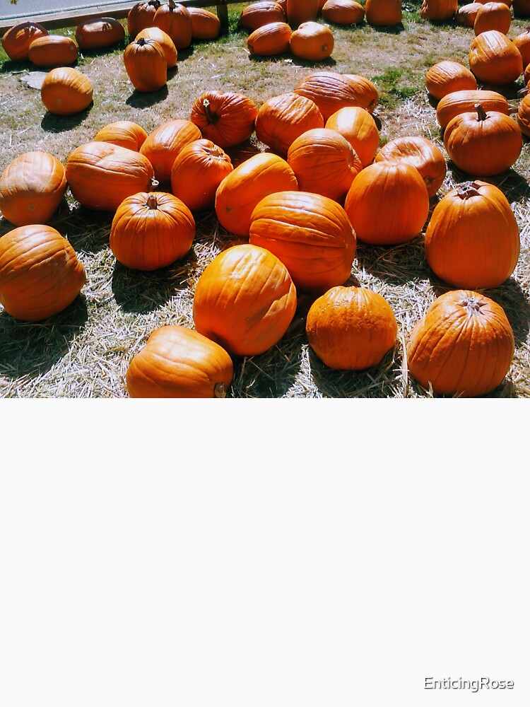 Autumn Pumpkin Patch by EnticingRose