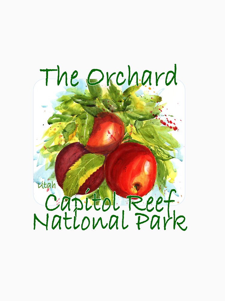Capitol Reef National Park, The Orchard by MMc Buck