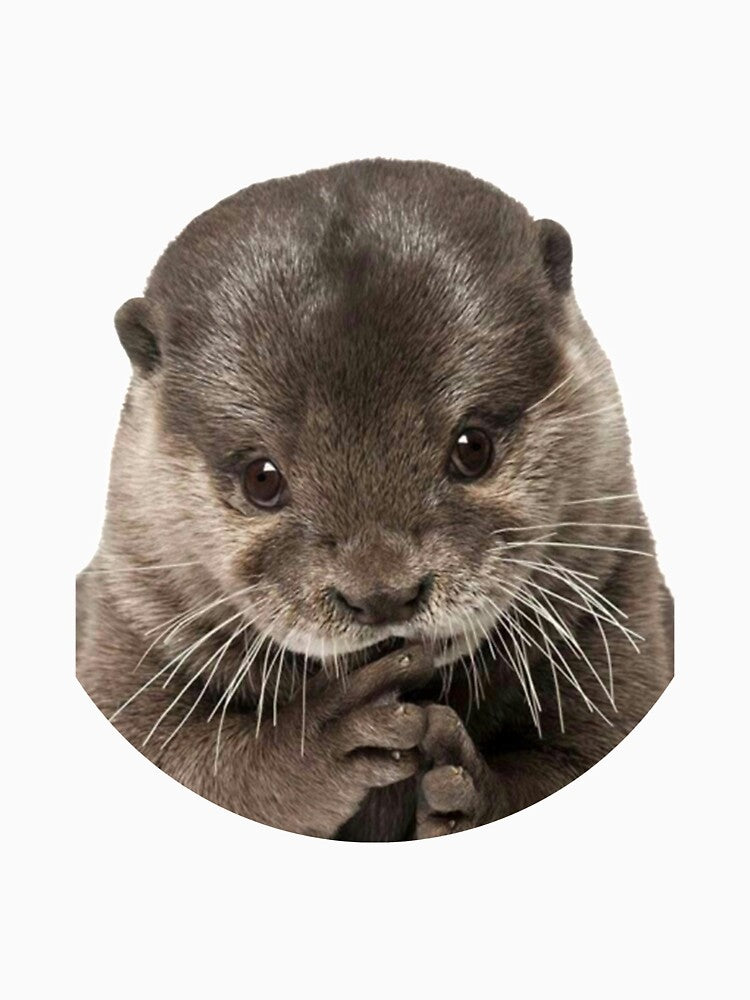Cute baby otter by animalfaces