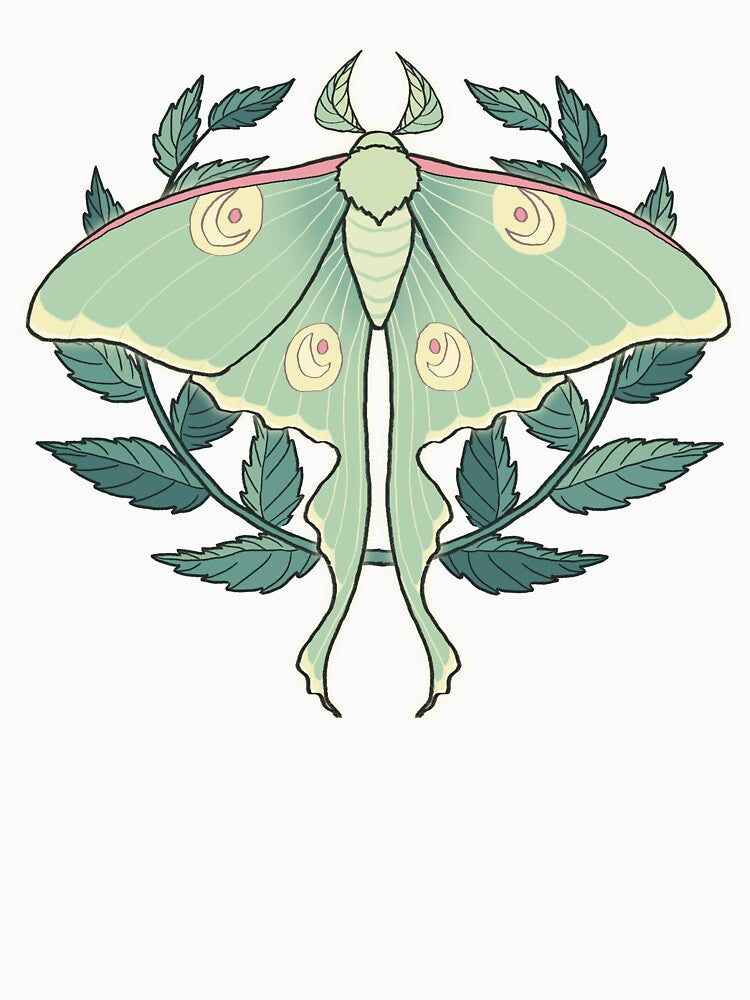 Luna Moth by Crow's Curio