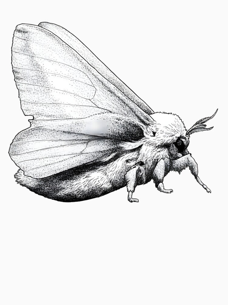 Moth by Naux | Design & Illustration