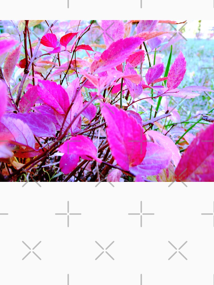 autumn natural leaves photography | natural leaves photo by lausn