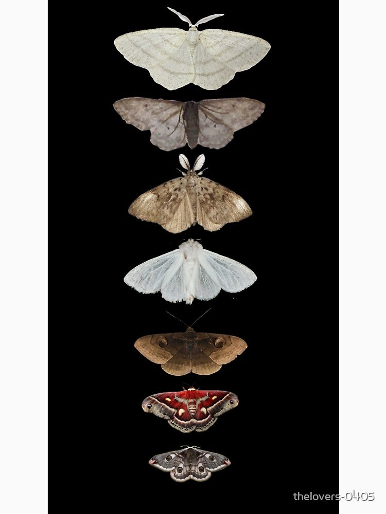 Moth party by thelovers-0405