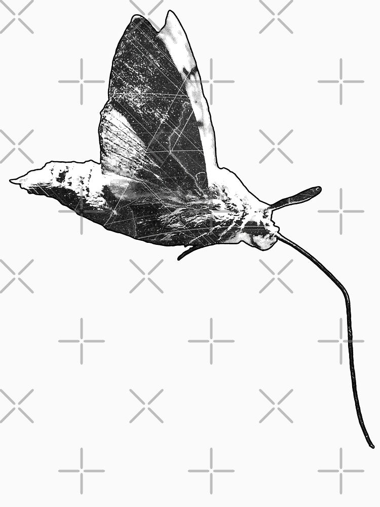 Hummingbird Hawk-Moth Dark Nature In-Flight Art by Ghoul Enterprises