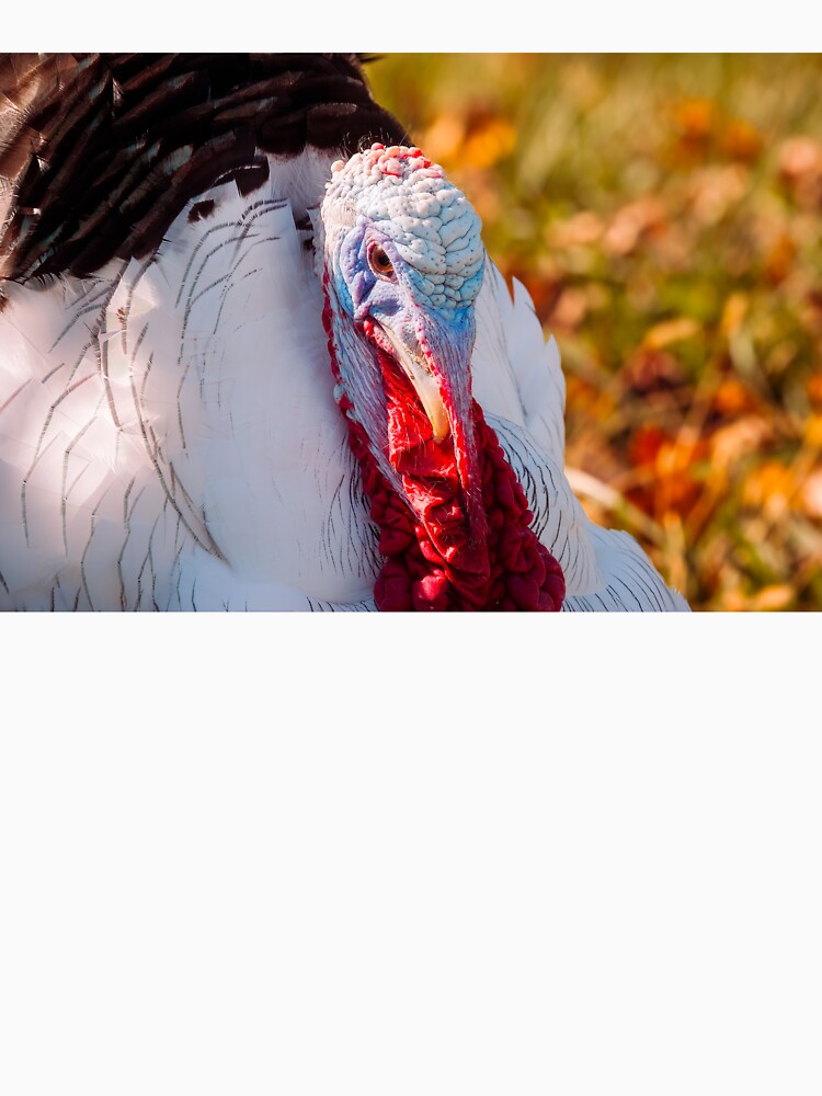 Gobble Gobble 2 by Jim Love
