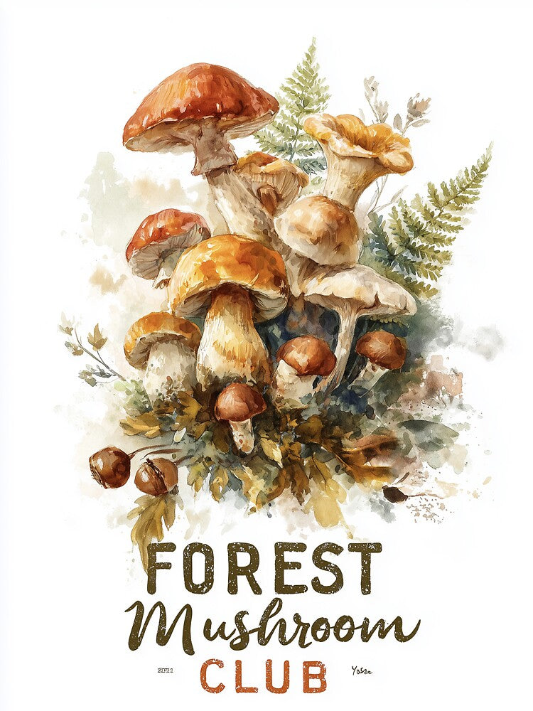 Forest Mushroom Club – Autumn Woodland Mushrooms by Helenaphotoart