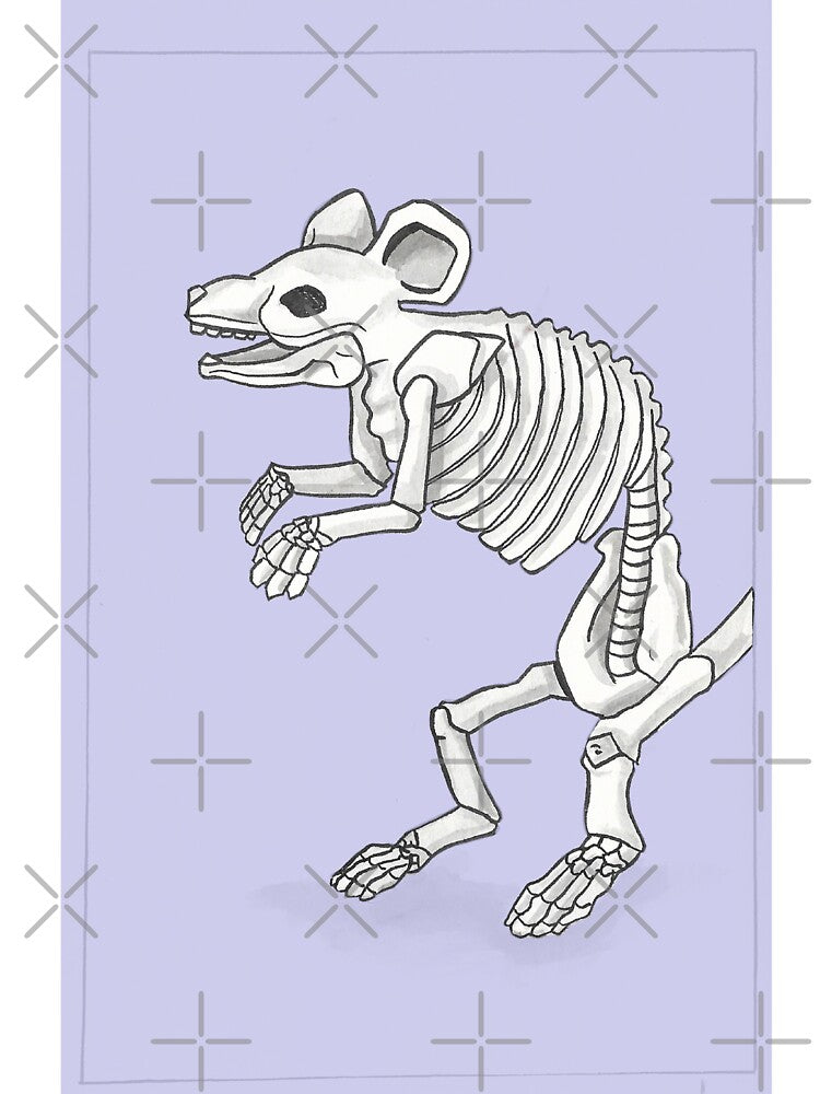 Skeleton rat by Liv Arnold