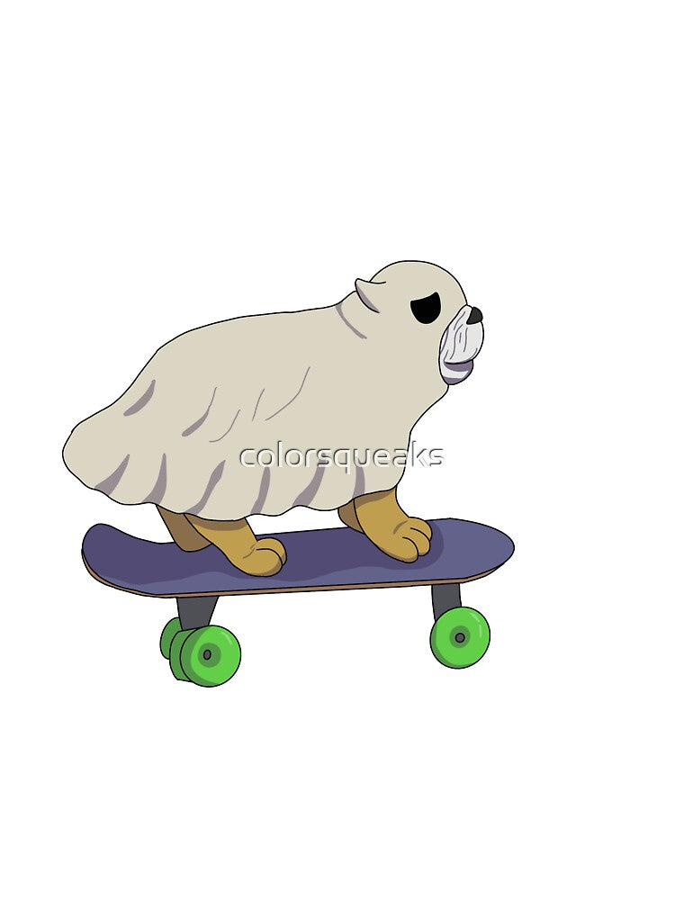 Skateboarding ghost dog by colorsqueaks