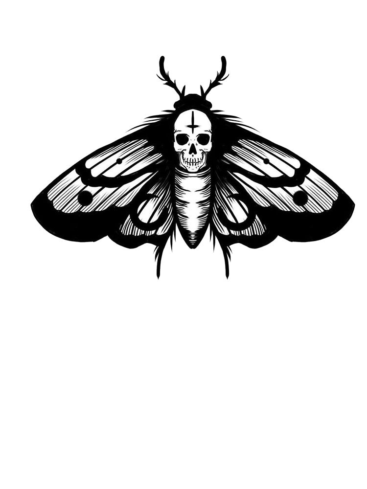 moth by ceddsouth