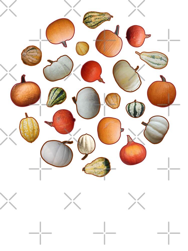 Autumn Harvest: Pumpkins and Gourds Fall Vibes by TheSassyNoble