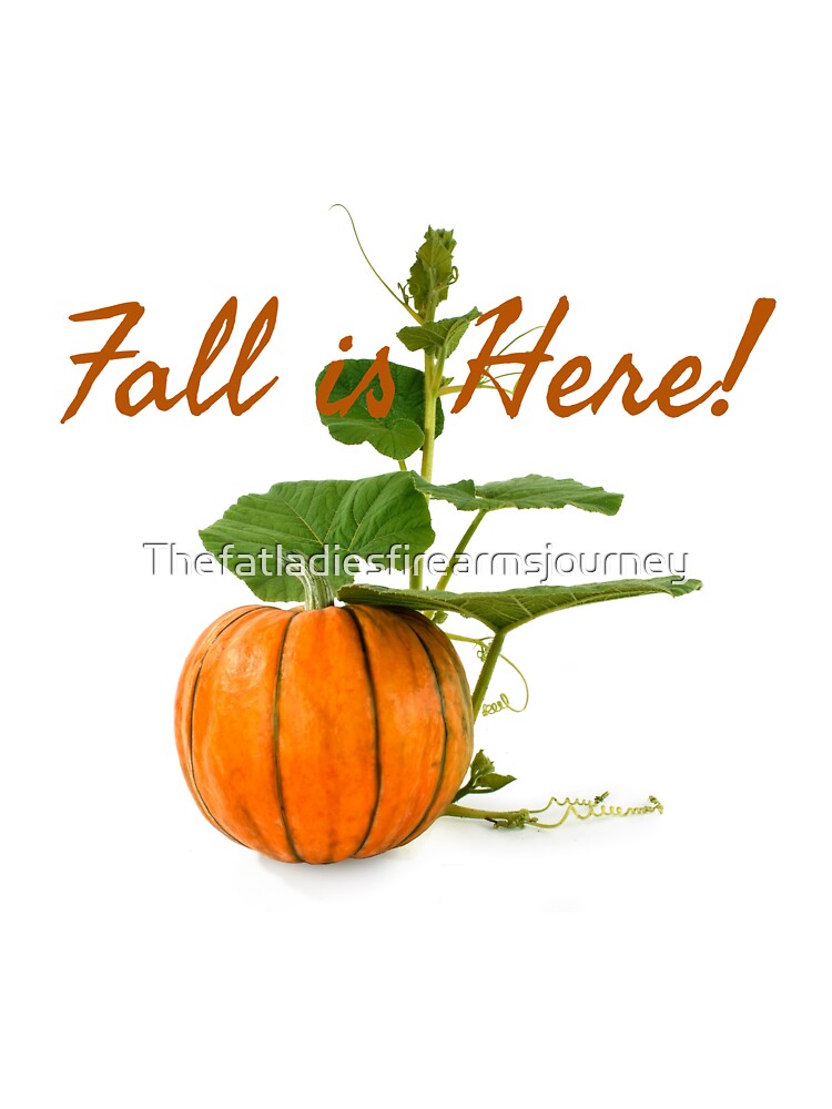 Fall is here! by Thefatladiesfirearmsjourney