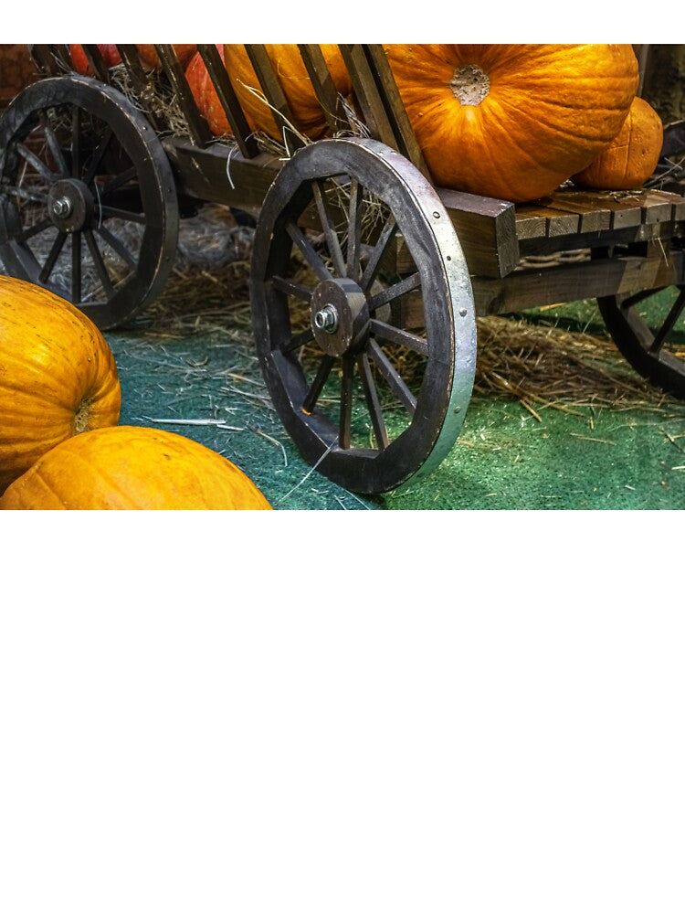 Autumn Memories by MariaAbaza