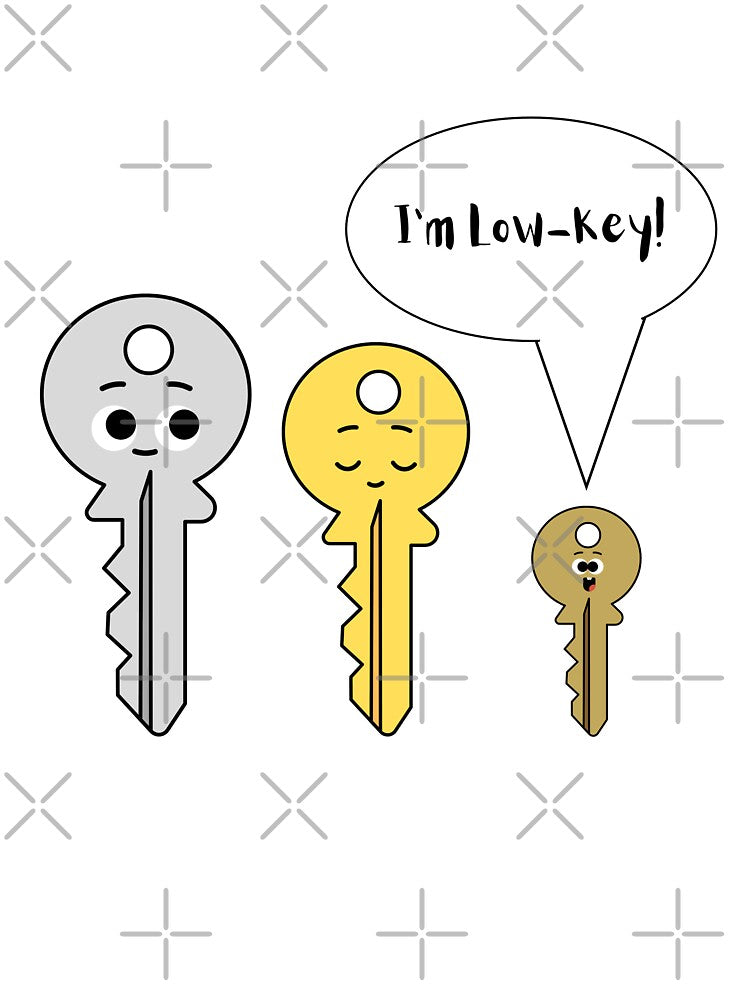 I'm Low-Key - Cute Key Design by LaughingLabCoat