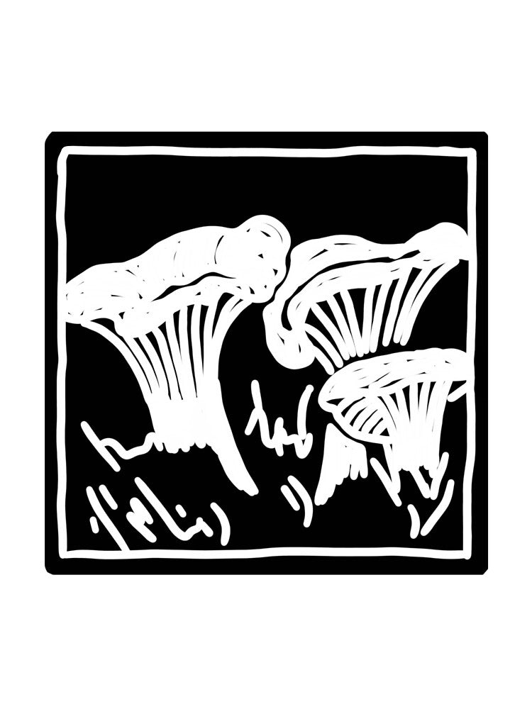 Chanterelle Mushrooms by marjamjelly