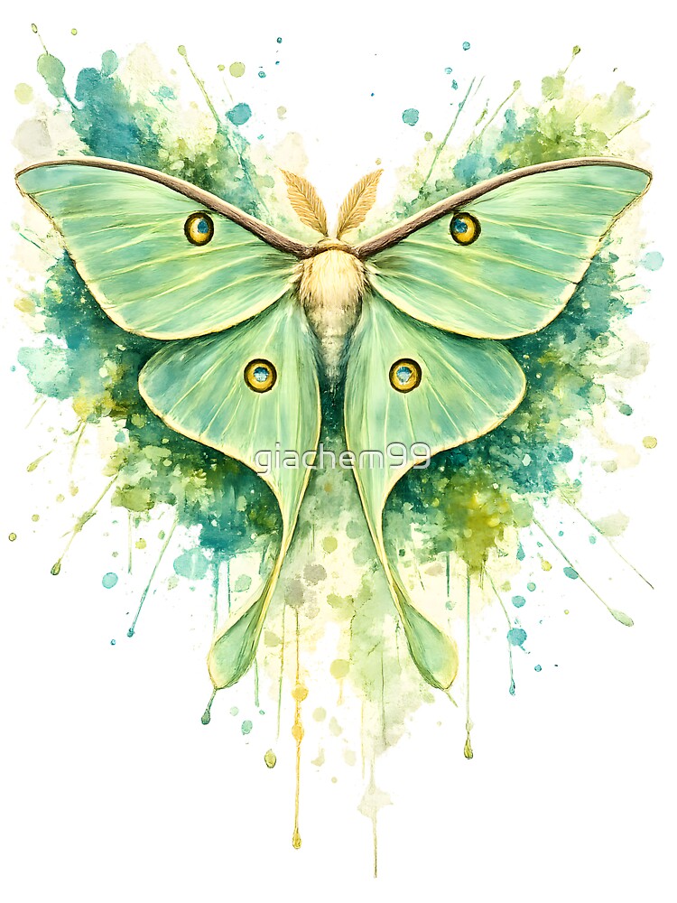 Luna Moth Watercolor Splash Art by giachem99