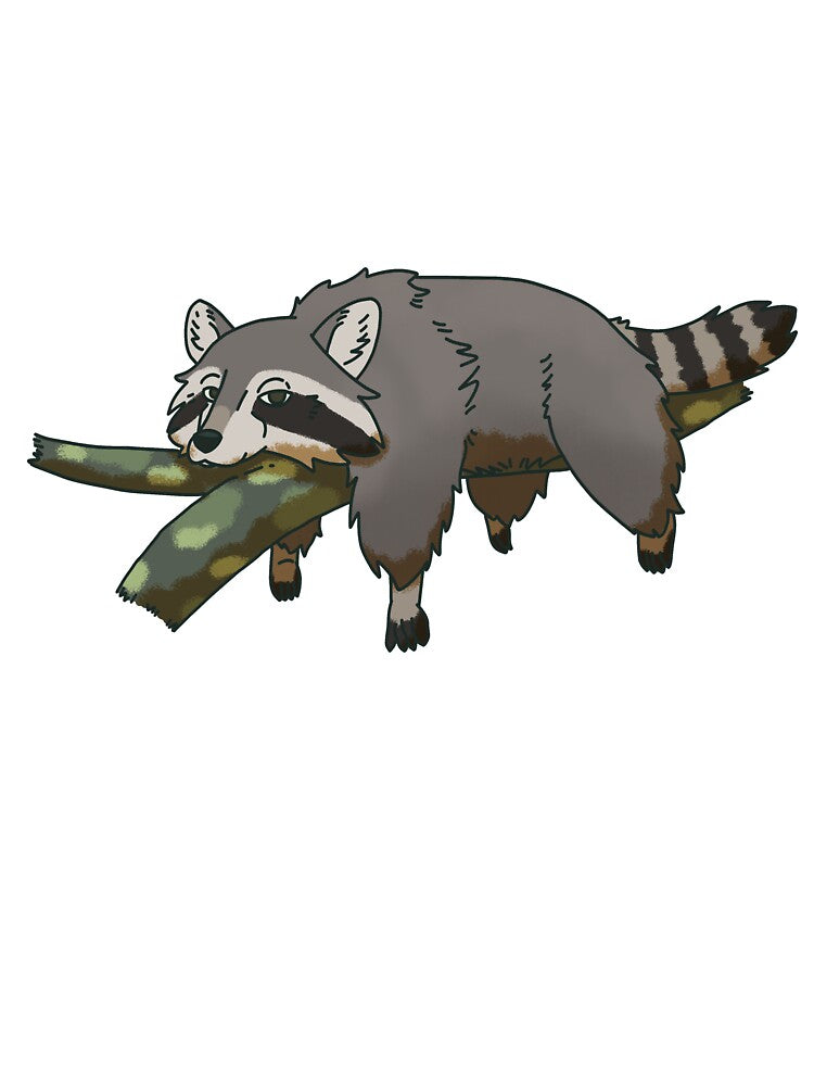 Lazy Raccoon by Bailey-Tichenor-Designs