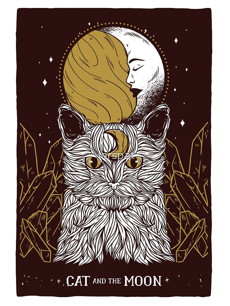 Cat And The Moon Card by larspat