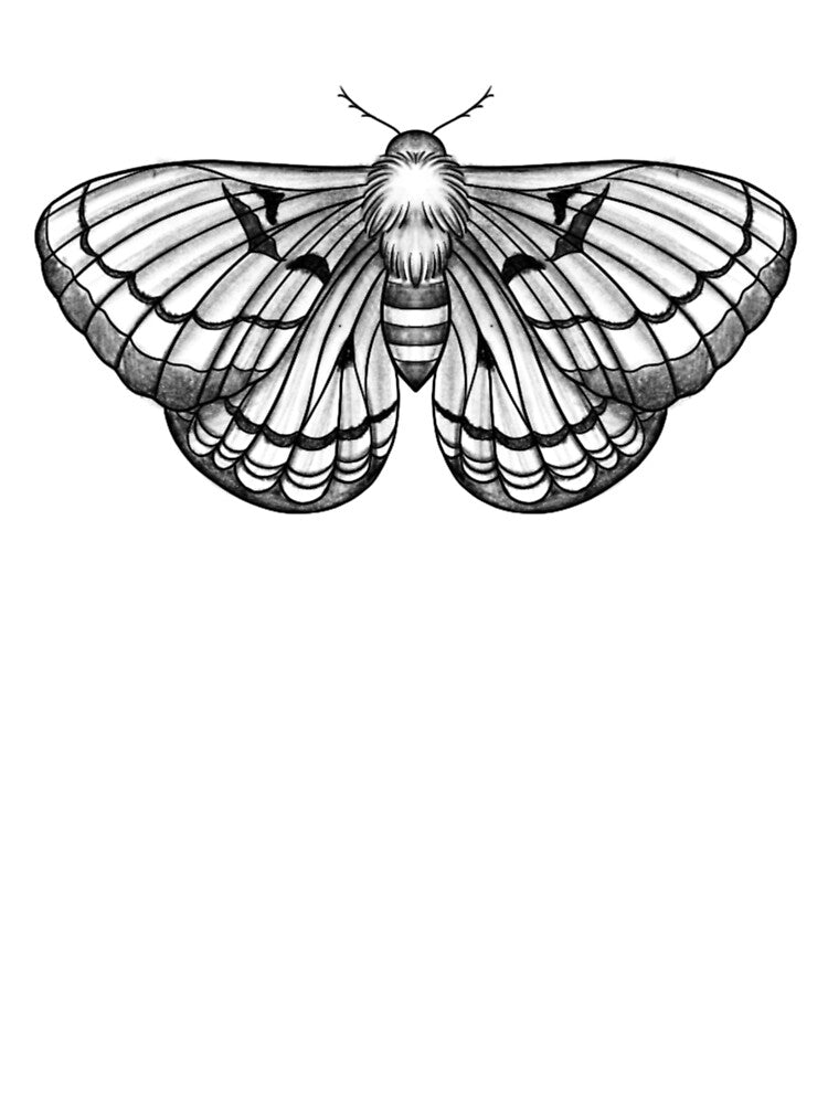 Moth Illustration – Gothic Black and White Tattoo Style by AlshaayArt