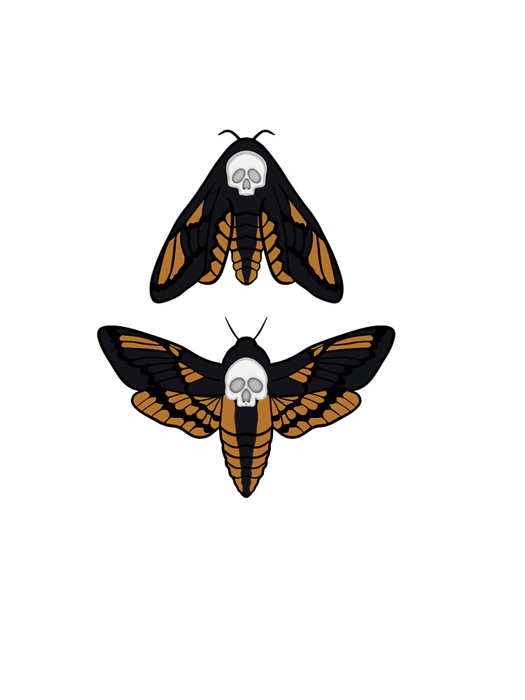 Death’s-head hawkmoth by MantisOddities