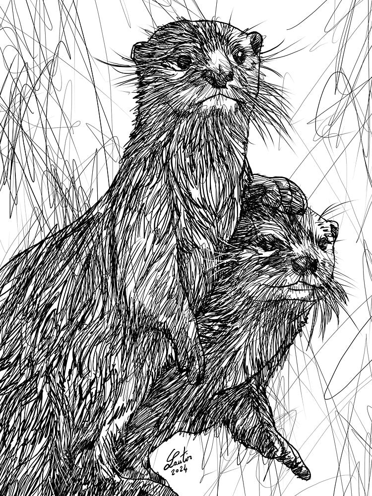 TWO OTTERS ink portrait by lautir