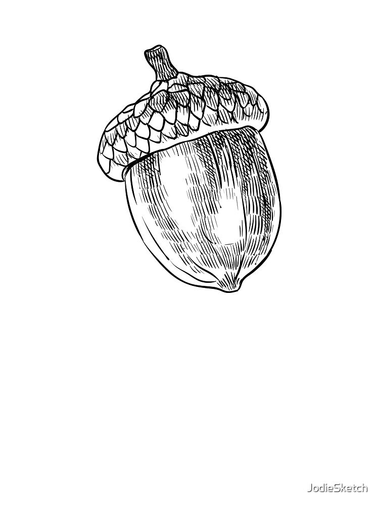 Acorn Doodle by JodieSketch