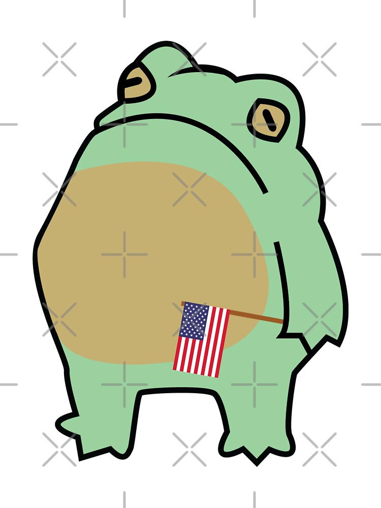 Frog with american flag by SKdarealshop