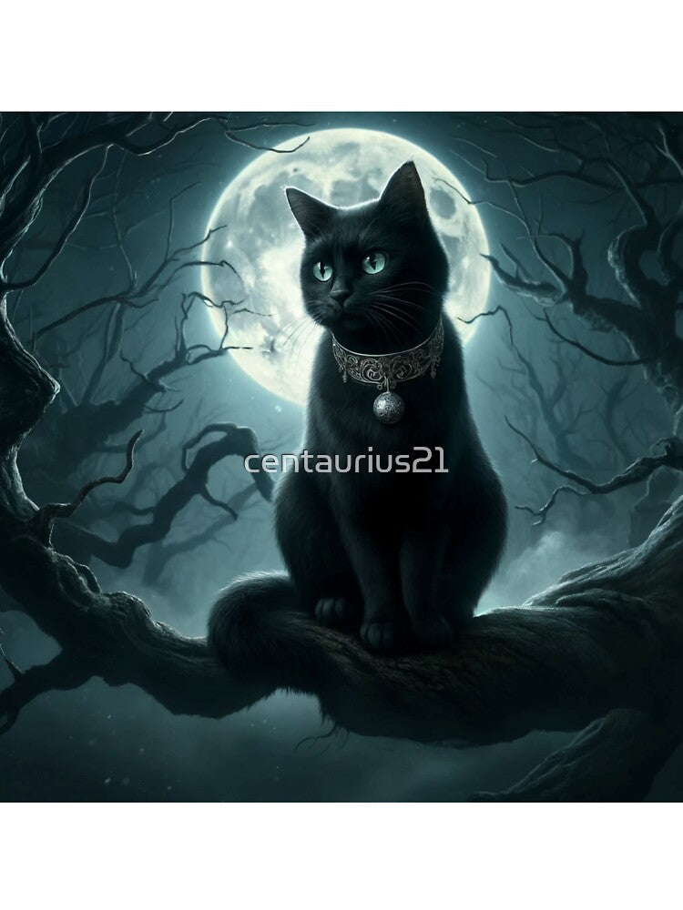 Black Cat by centaurius21