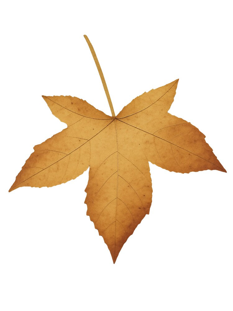 Minimalist Soft Cream Autumn Maple Leaf Aesthetic Art by Fine-Arts-Lab