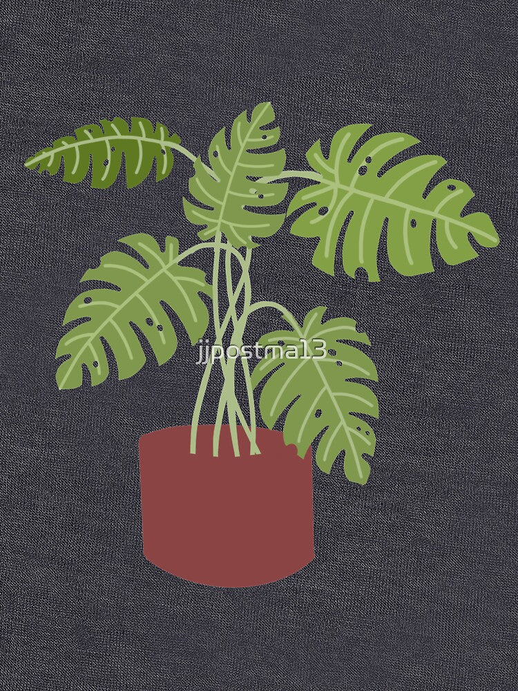 Monstera Plant by jjpostma13