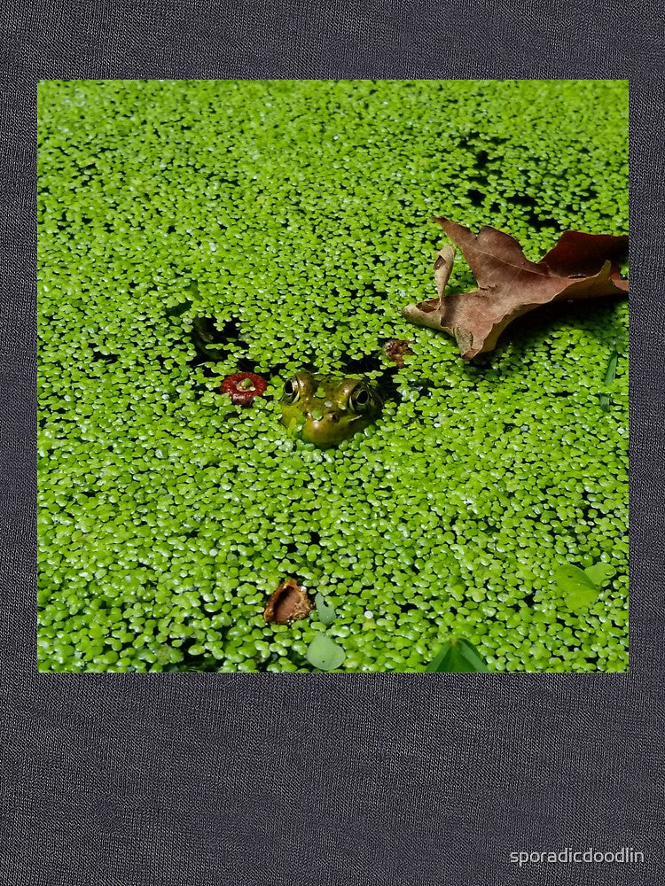 Frog in Duckweed by sporadicdoodlin