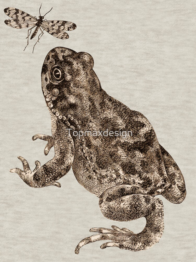 Art Frog Hunting an Insect by Topmaxdesign
