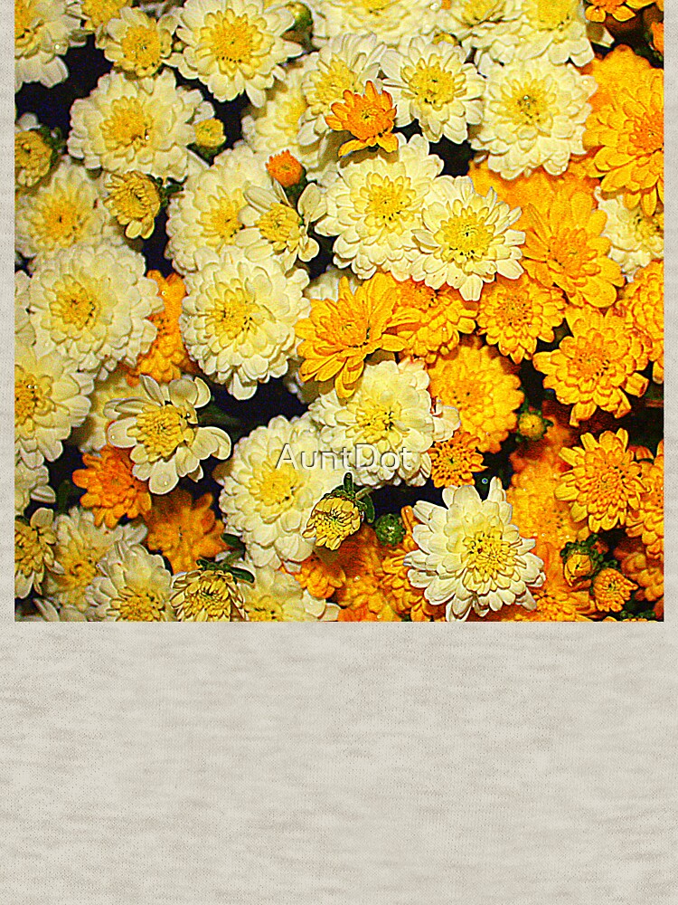 Fall Mums by AuntDot