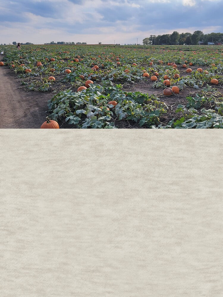Pumpkin Patch ? by NathanMoore92