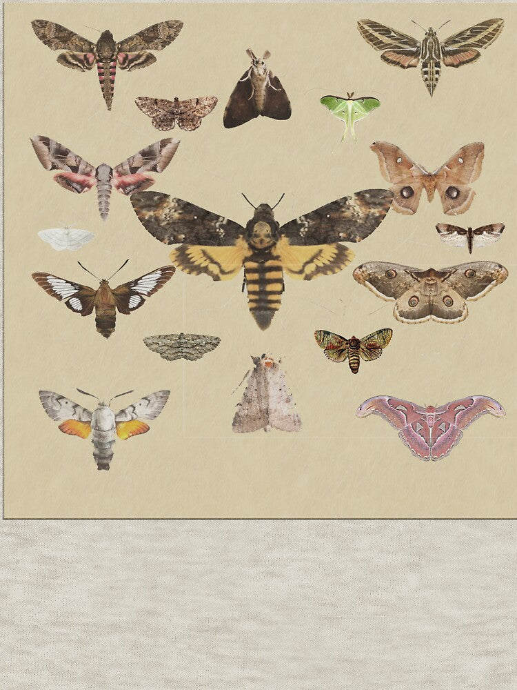 big moth poster by Addie-w-W
