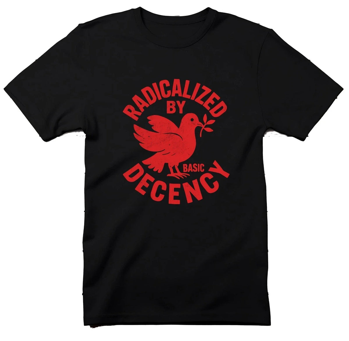 Radicalized By Basic Decency , Peace Dove, Political Tee, Equality Shirt, Unisex