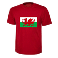Wales Flag Red Dragon for Adult, Children Ladies World Cup Football 2026 Unisex