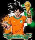 ivory coast World Cup Football DTF Iron On Heat Transfer Unisex Soccer T shirt Unisex