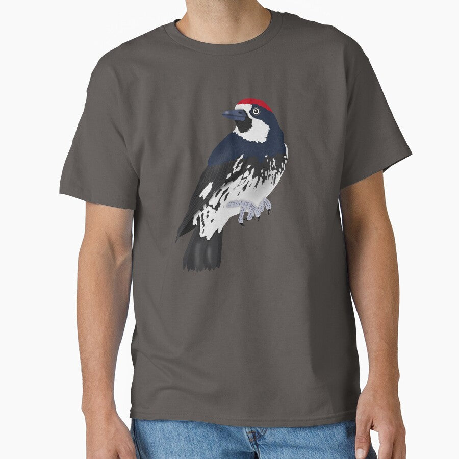 Acorn Woodpecker by BDBirds