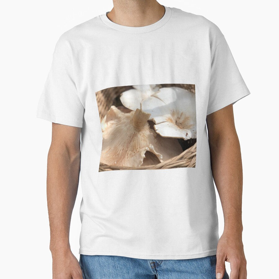mushroom harvest by Sankofa