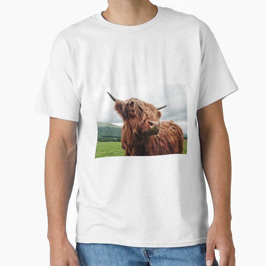 Highland Cow On A Farm by AnimalLover4eva