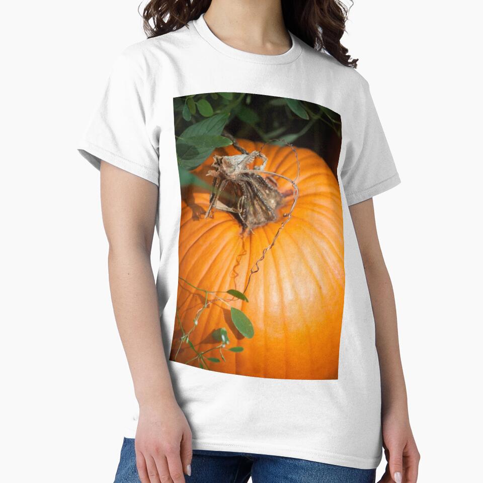 Autumn Vines by Jacquelie