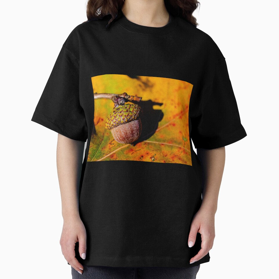Autumn acorn on leaf by EnR-designs