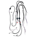Standard Harness for a Boomerang Atom Squared